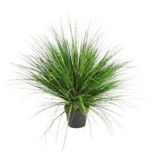 Künstliches Gras - Onion | 65 cm*