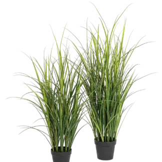 Künstliches Gras - Otto | 120 cm*