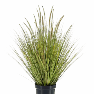Künstliches Gras - Patrizia | 99 cm*