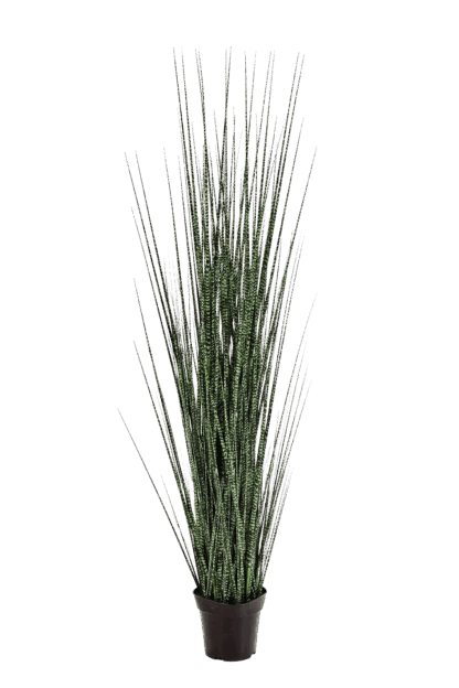 Künstliches Gras - Zebra | 120 cm*