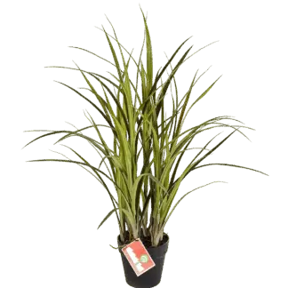 Künstliches Grass - Oceane | 75 cm*