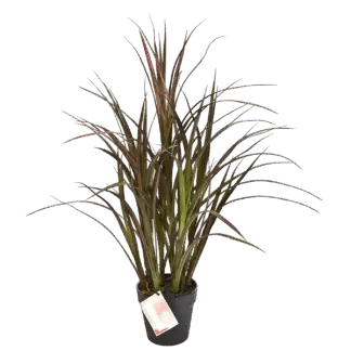 Künstliches Grass - Rote Oceane | 75 cm*