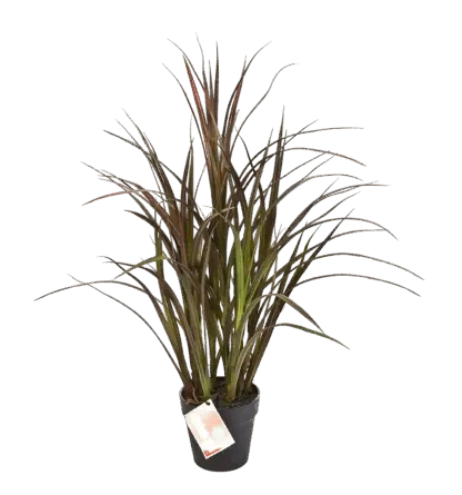 Künstliches Grass - Rote Oceane | 75 cm*