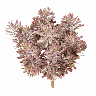 Künstliches Greiskraut - Hana | 18 cm*