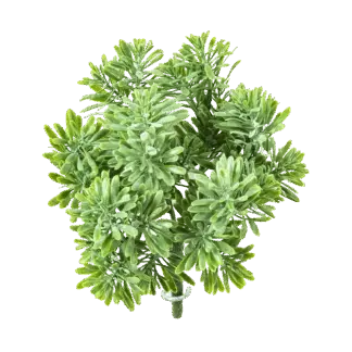 Künstliches Greiskraut - Henrike | 18 cm*