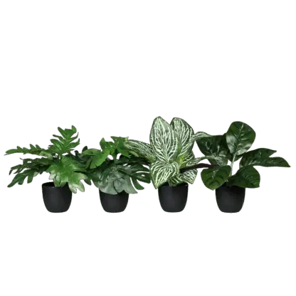 Künstliches Grünpflanzenset - Rio | 27 cm*