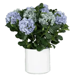 Künstliches Hortensien-Arrangement - Alexis | 74 cm*