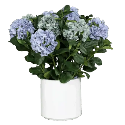 Künstliches Hortensien-Arrangement - Alexis | 74 cm*