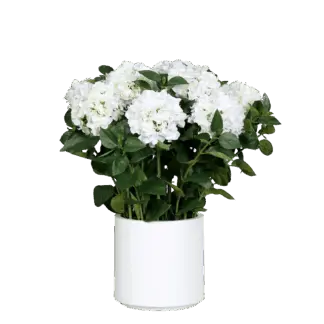 Künstliches Hortensien-Arrangement - Margot | 74 cm*