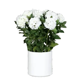Künstliches Hortensien-Arrangement - Norman | 86 cm*