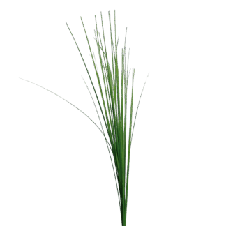 Künstliches Isolepsis Gras - Arianna | 115 cm*