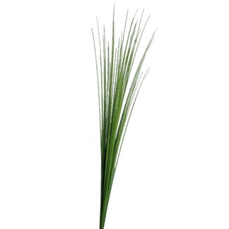 Künstliches Isolepsis Gras - Arianna | 70 cm*