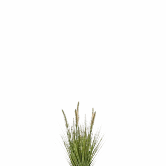 Künstliches Lampenputzergras - Paulin | 45 cm*