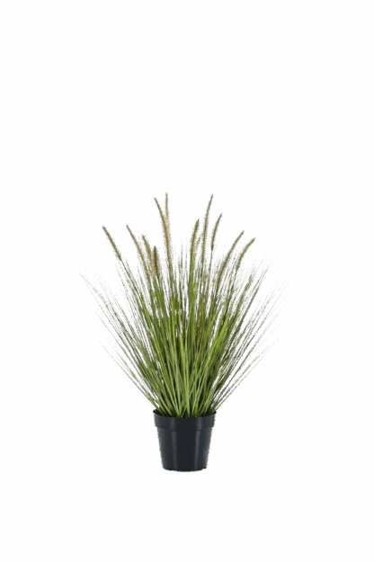 Künstliches Lampenputzergras - Paulin | 71 cm*