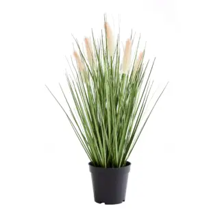 Künstliches Lampenputzergras – Lysandros | 56 cm*
