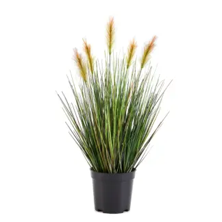 Künstliches Lampenputzergras – Orpheus | 45 cm*