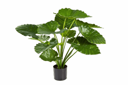 Künstliches Pfeilblatt - Palina | 75 cm*