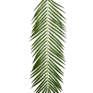 Künstliches Phoenixpalmenblatt - Oliwia | 88 cm*