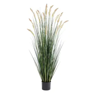 Künstliches Reitgras – Florentin | 150 cm*