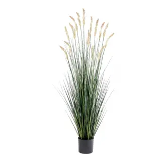 Künstliches Reitgras – Florentin | 175 cm*