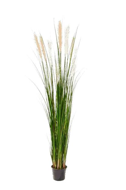 Künstliches Schilfgras - Fluffi | 180 cm*