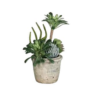 Künstliches Sukkulenten Arrangement - Goku | 23 cm, im Keramiktopf*