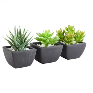 Künstliches Sukkulenten-Set – Aurea | 14 cm*