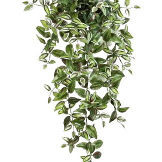 Künstliches Zebrakraut - Alina | 70 cm*