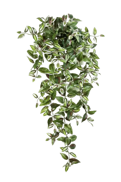 Künstliches Zebrakraut - Alina | 70 cm*