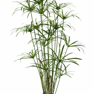 Künstliches Zypergras - Megan | 155 cm*