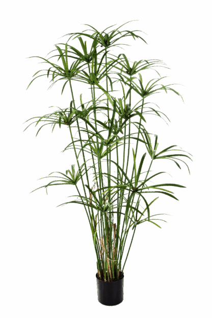 Künstliches Zypergras - Megan | 155 cm*