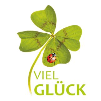 Wachsdekor Viel Glück mehrfarbig 70x55mm*