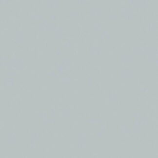 folia Fotokarton A4  300g/m² 50 Blatt Silber*